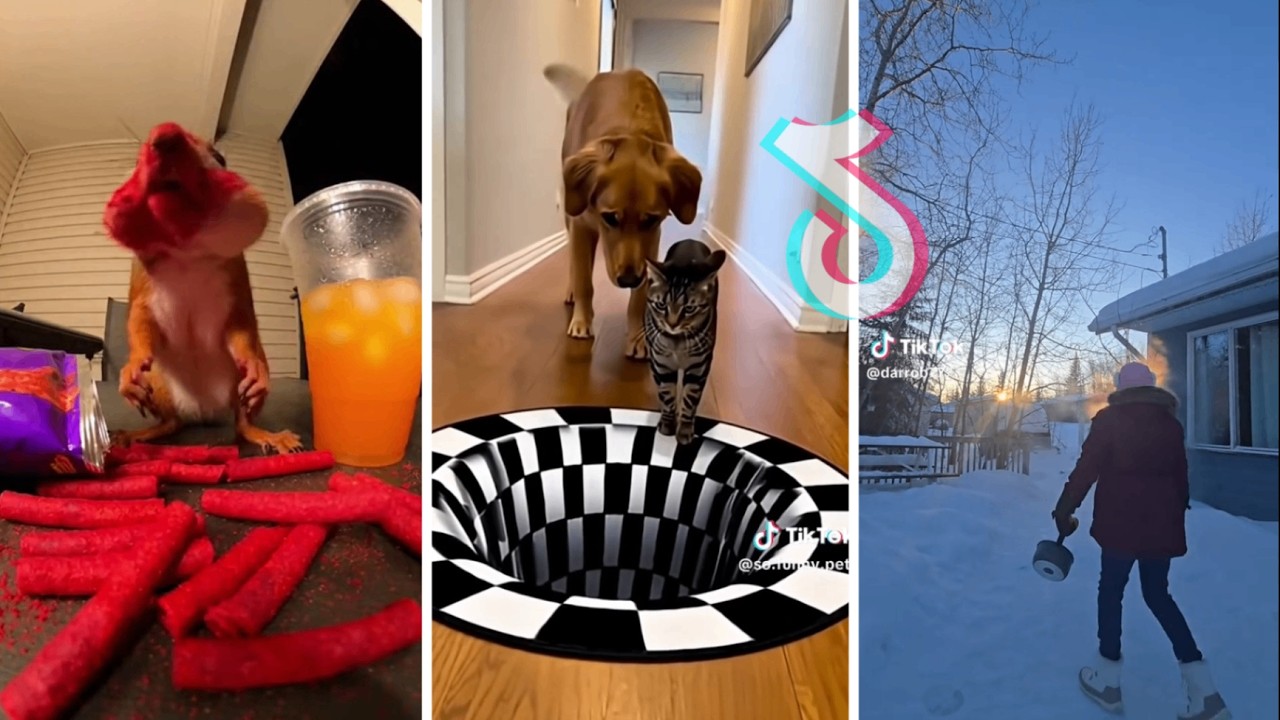Extreme Frozen World Winter Fails ❄️🥶 | Compilation