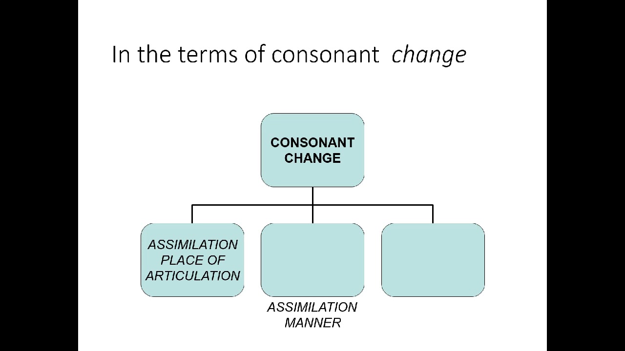 Assimilation in English