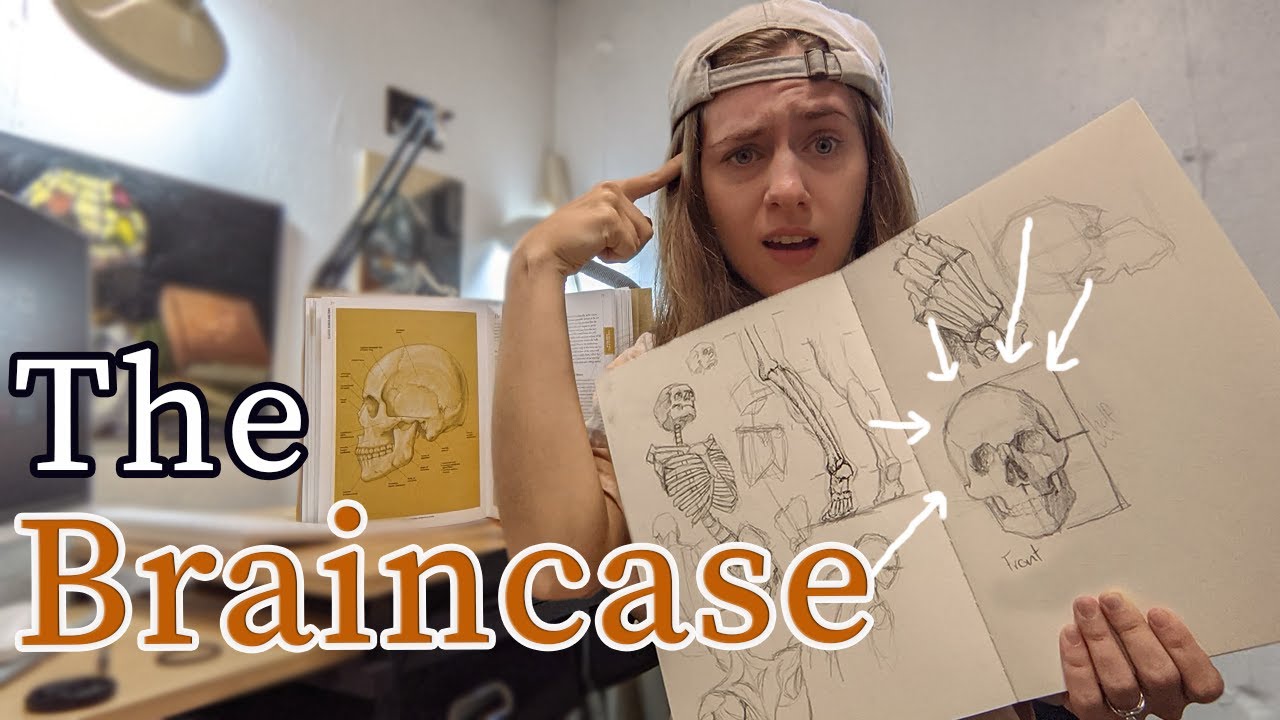 How to Draw the Skull for Artists