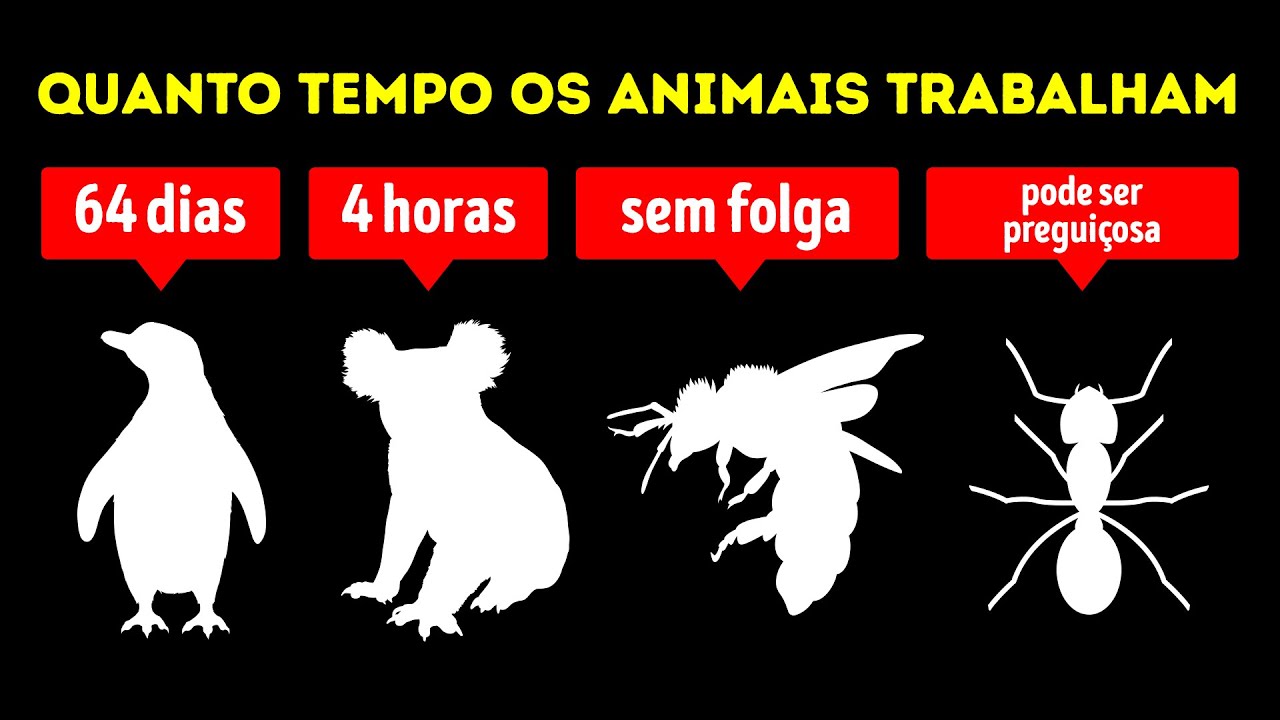 Quais Animais Trabalham Mais Que Nós