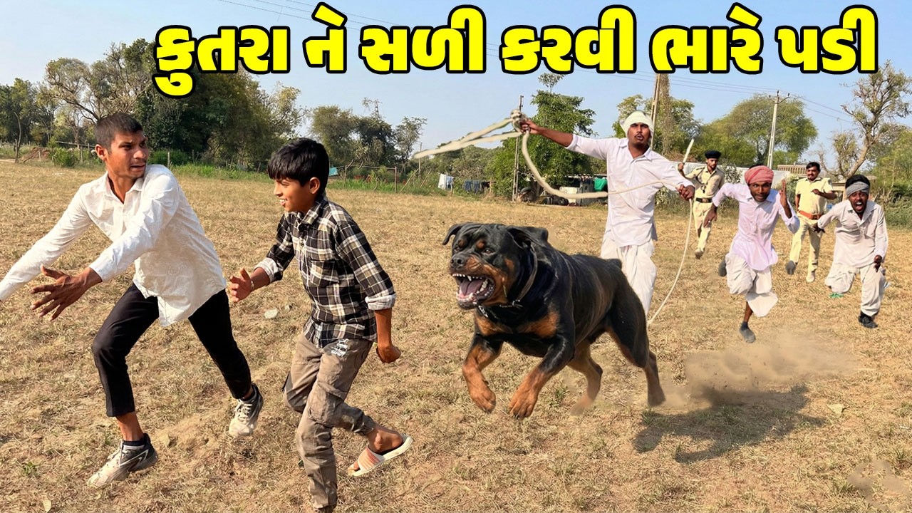 કુતરા ને સળી કરવી ભારે પડી // Gujarati Comedy Video // કોમેડી વિડિઓ // Desi Kings
