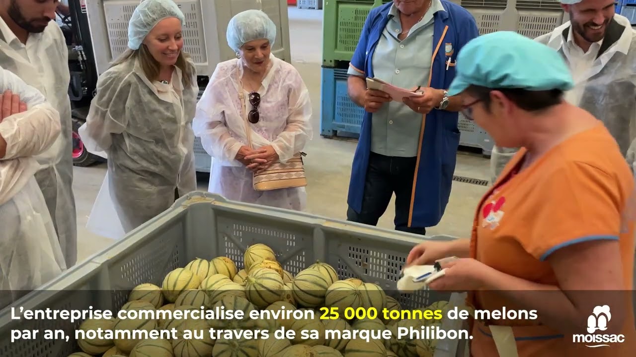Le maire et la députée visitent l'entreprise Boyer, fleuron de l'industrie fruitière moissagaise