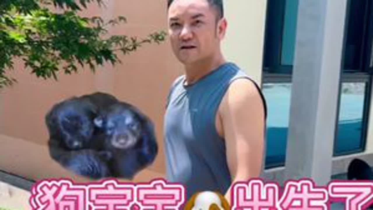 正宗田园犬，有需要的联系我#创意思艺吴斌#日常生活 #纪录美好生活