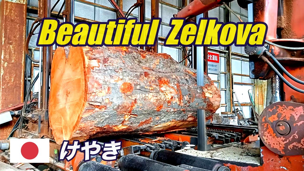 けやきの製材・Japanese Zelkova