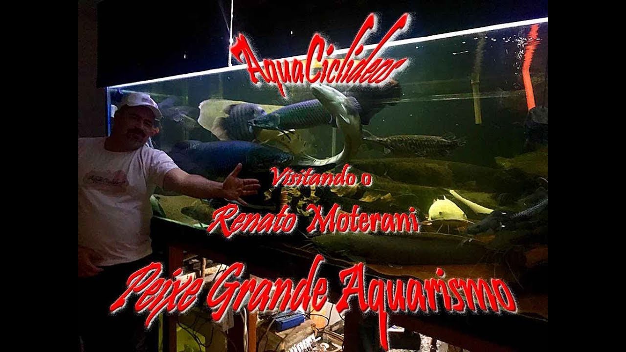 Visita aos Aquaciclideos - Membro Renato Monterani
