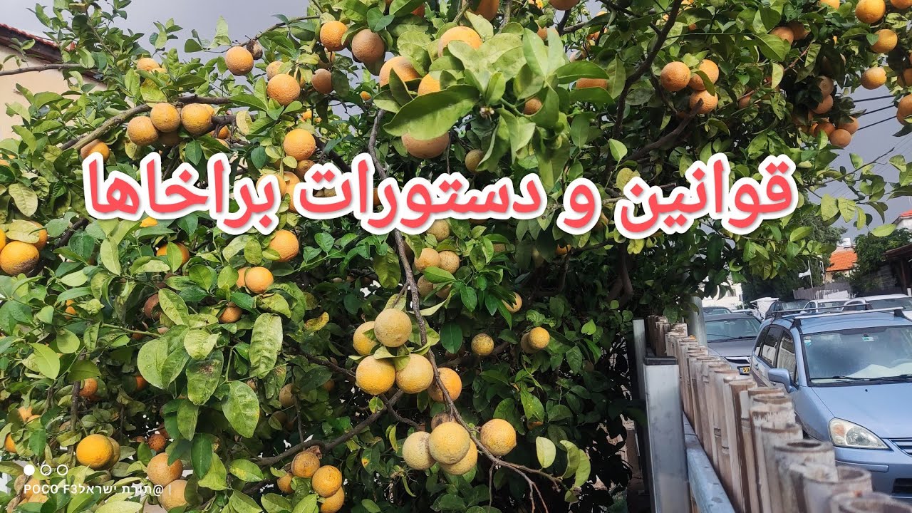 قوانین و دستورات براخاها وسپاسگذاری از خد.اوند قسمت چهارم . براخا وبرکت بر نان