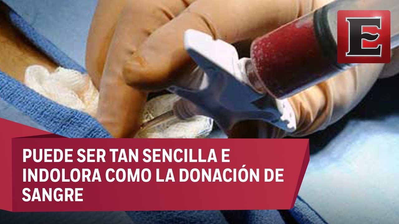 Lo que necesitas saber sobre la donación de médula ósea