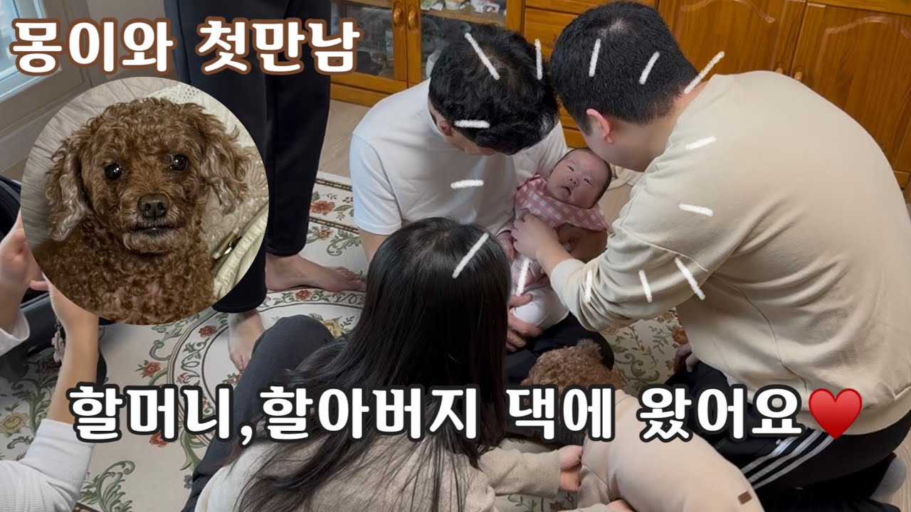 할머니, 할아버지 댁에 왔어요♥️(예방접종, 몽이와 첫만남)