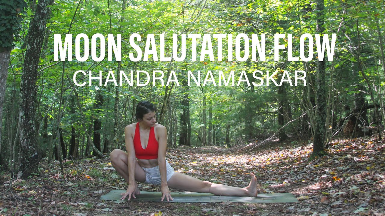 Moon Salutation Yoga Flow for All Levels | Gentle, Accessible Chandra Namaskar