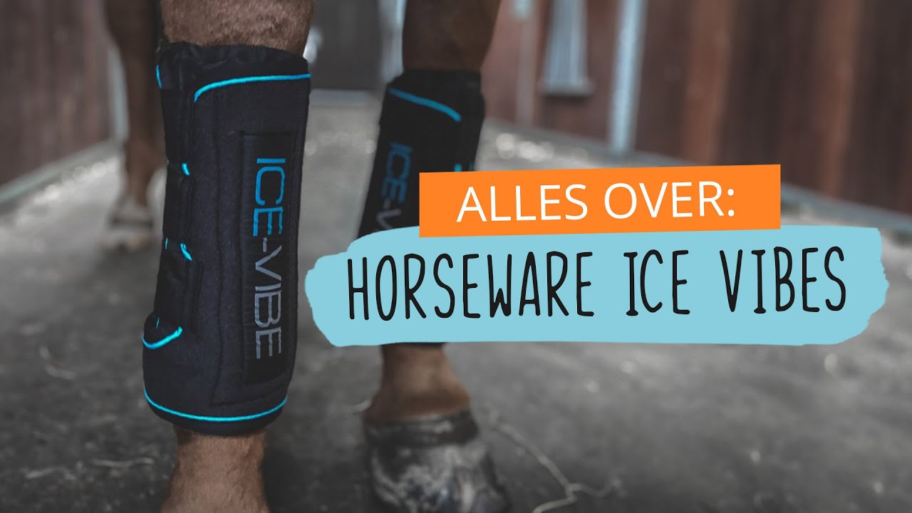 Alles over HORSEWARE ICE VIBES | #86 | HorseFitShop