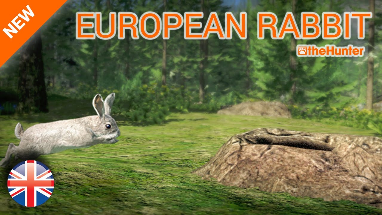 The Hunter 2015 [Full HD] - NEW ANIMAL : European Rabbit - ENG