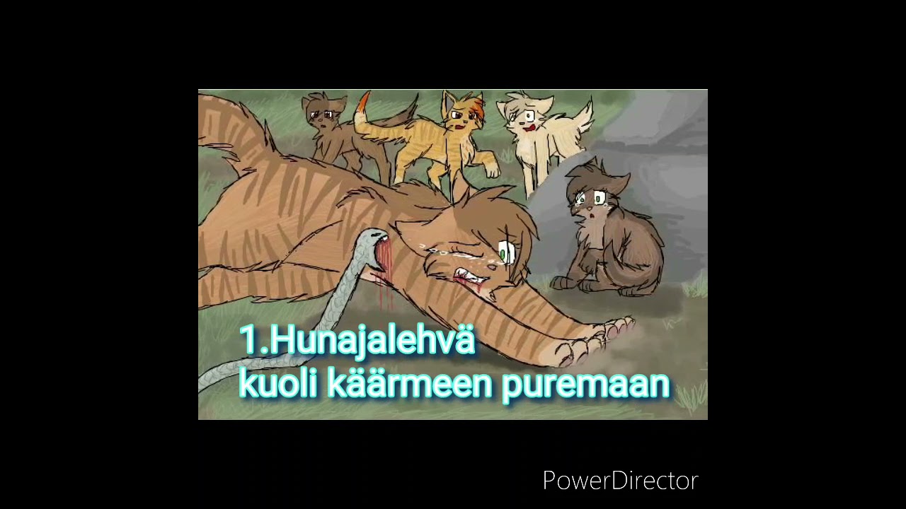 top 5 surrullisinta sk kuolemaa #PART 3