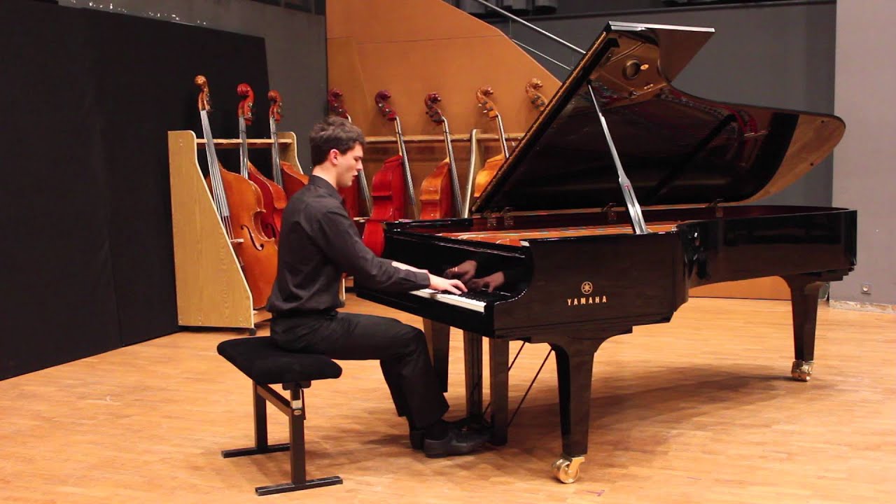 Franz Liszt , transcendental study n°8, 