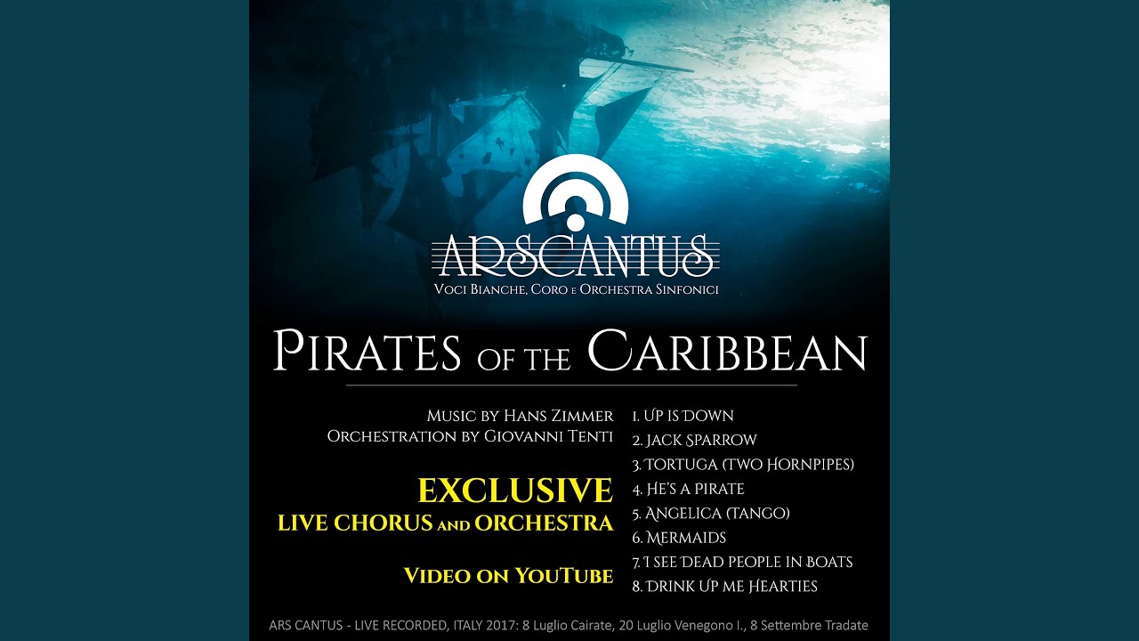 Pirates of the Caribbean - VIII 