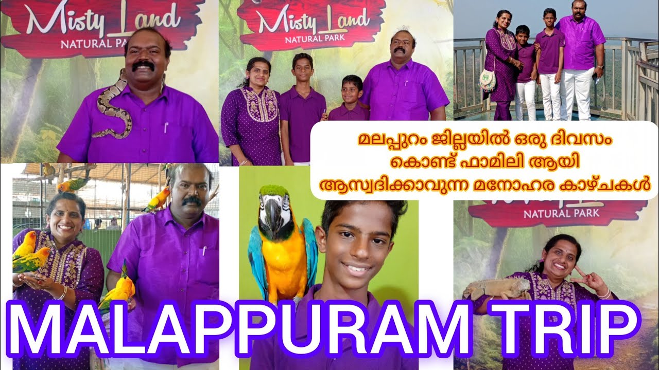മലപ്പുറത്ത് ഇത്രയധികം പുതിയ കാഴ്ചകൾ  കാണാനുണ്ടോ |MALAPPURAM TRIP 2026 #miniootty #Mistyland 