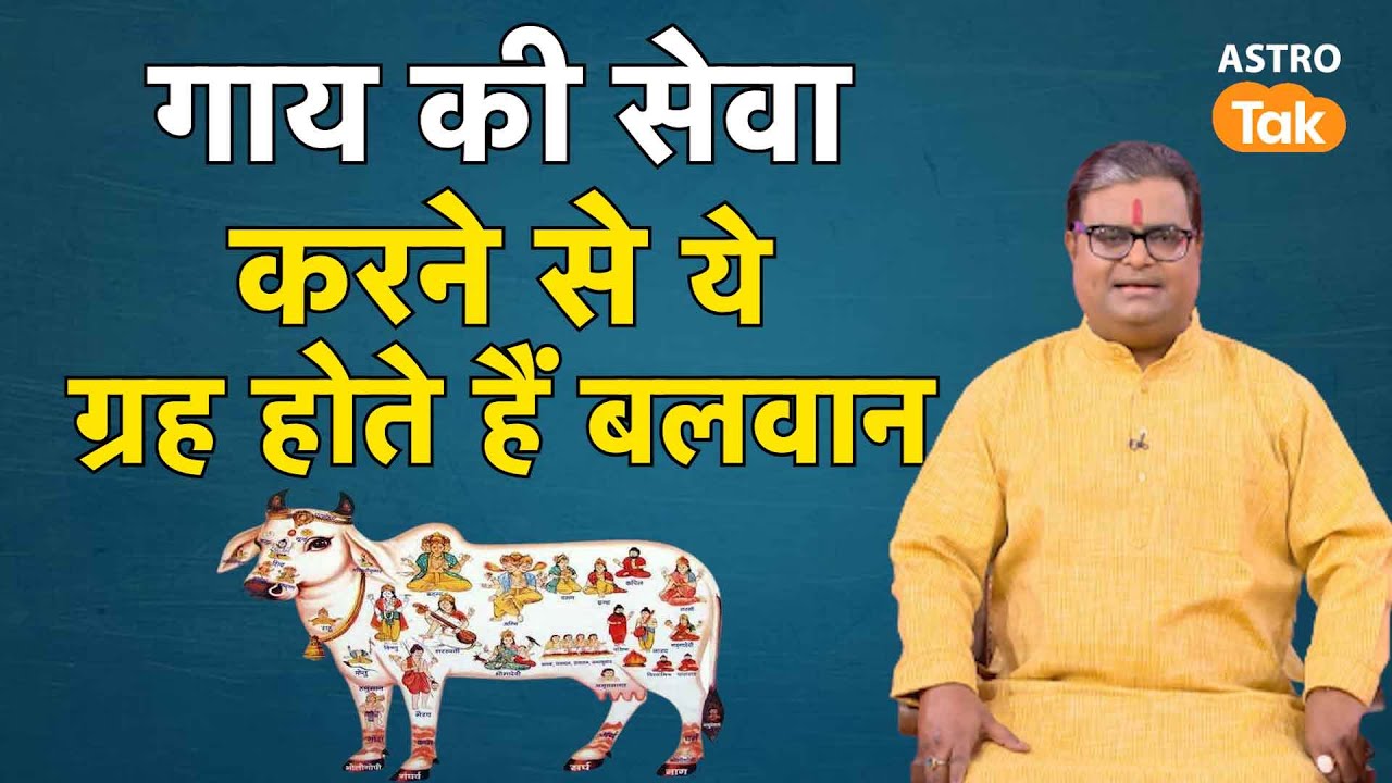 गाय की सेवा करने से ये ग्रह होते हैं बलवान | Shailendra Pandey | AstroTak