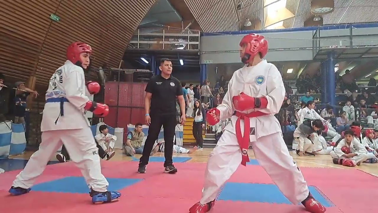 Taekwondo Itf - Lucha : Cinturon rojo & Cinturon azul punta roja