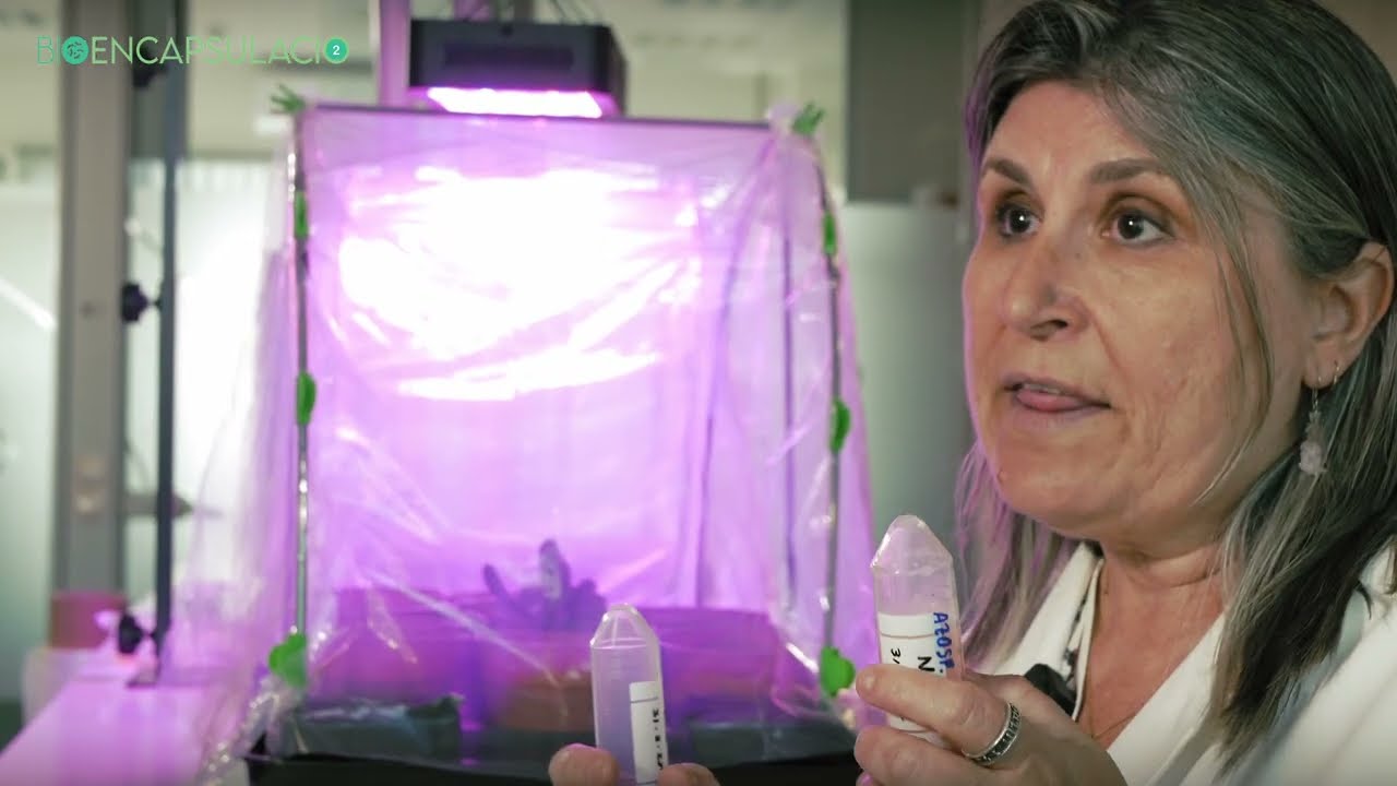Proyecto BIOENCAPSULACIO2