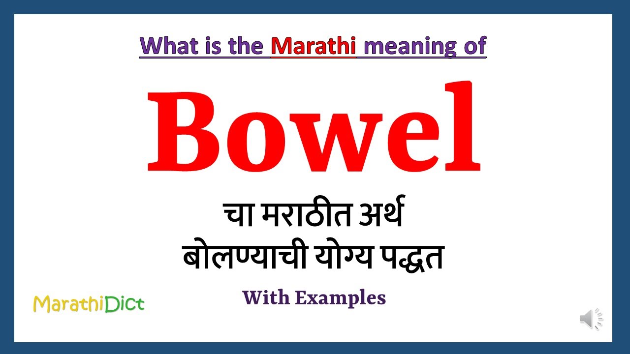 Bowel Meaning in Marathi | Bowel म्हणजे काय | Bowel in Marathi Dictionary |