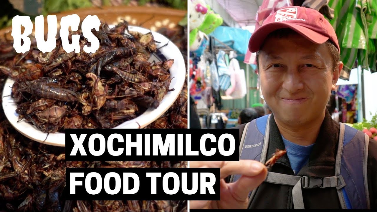 FOOD TOUR IN XOCHIMILCO, MEXICO CITY | DIY Xochimilco Food Tour