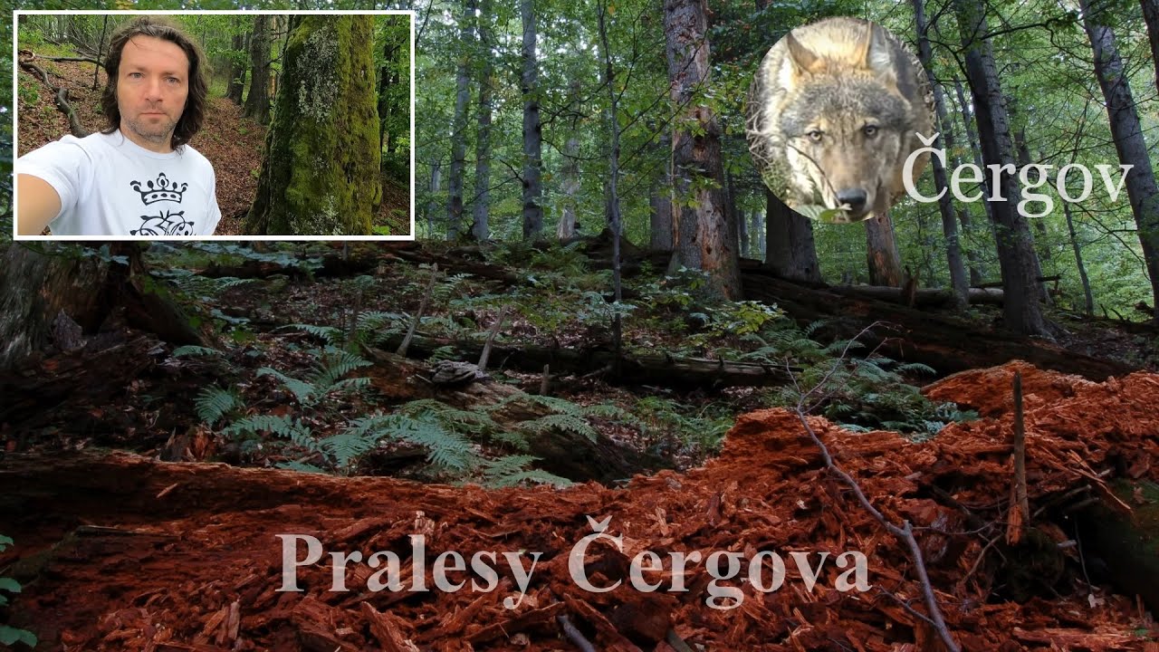 Pralesy Čergova