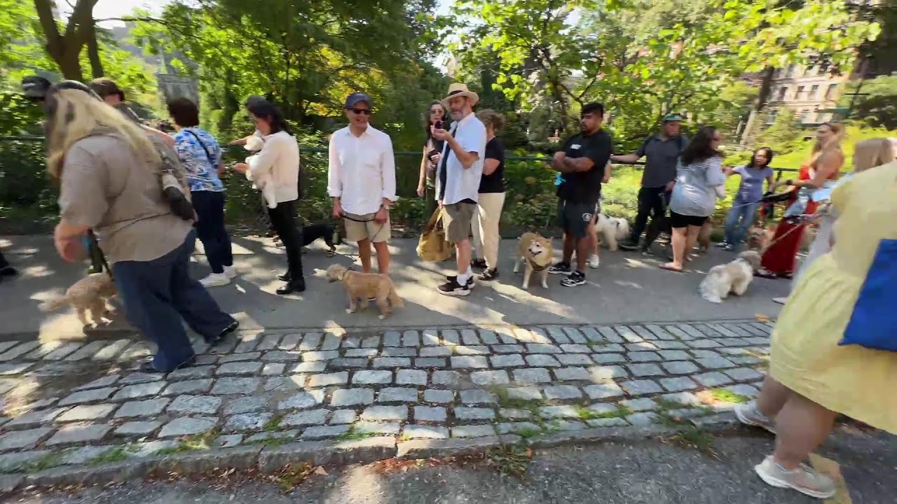 The Blessing of The Animals, The Feast of St. Francis