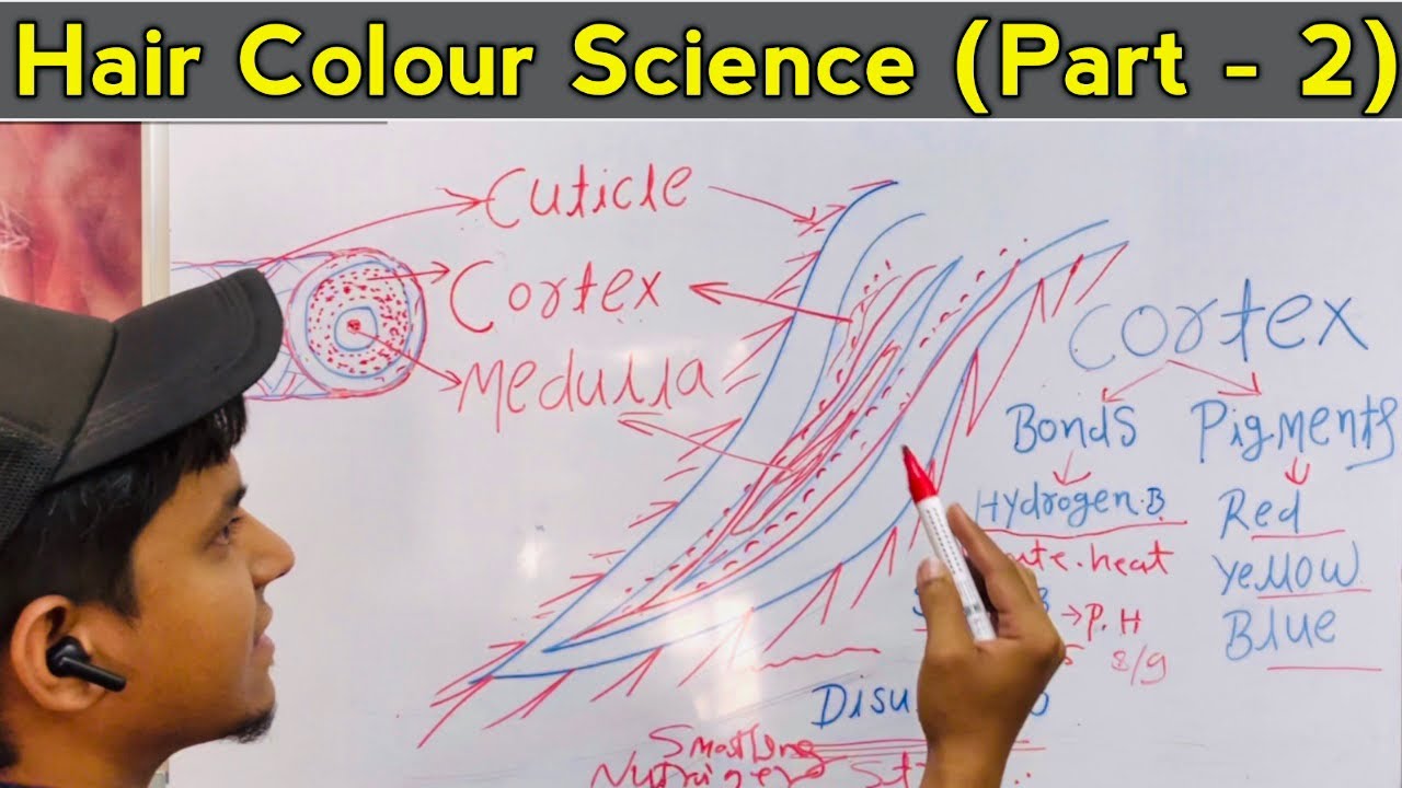Hair Colour Science (Part - 2 ) Hair Shaft and Hair Roots/ Cuticle Cortex Medulla full Details Hindi