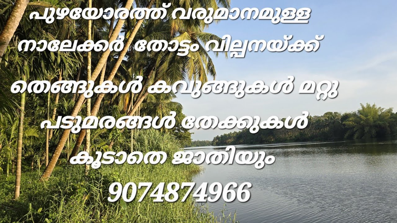 പുഴയോരത്ത് വരുമാനമുള്ള തോട്ടം വില്പനയ്ക്ക് തെങ്ങുകൾ കവുങ്ങുകൾ ജാതി കുരുമുളക് മറ്റുമരങ്ങൾ 