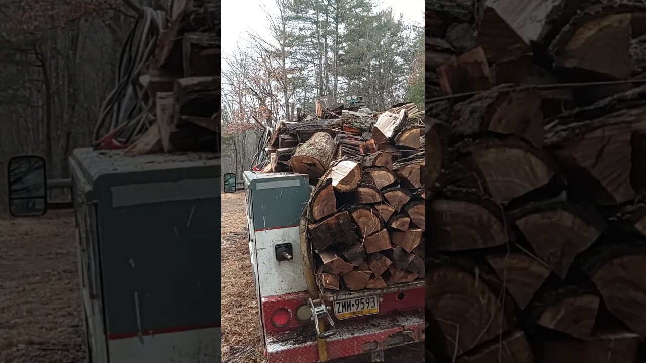 Little firewood action! 