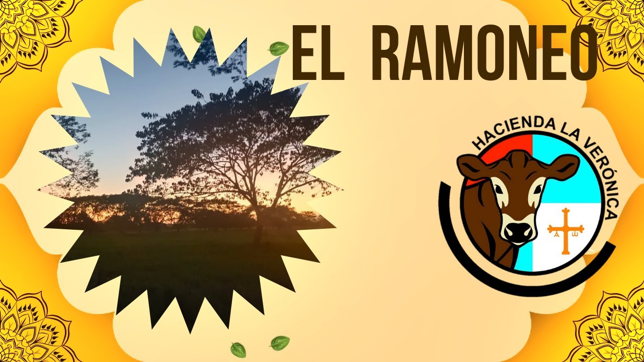 EL RAMONEO