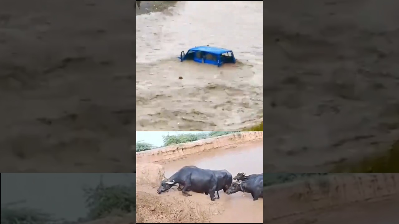 River Flood News|Pakistan River Flood News Update|