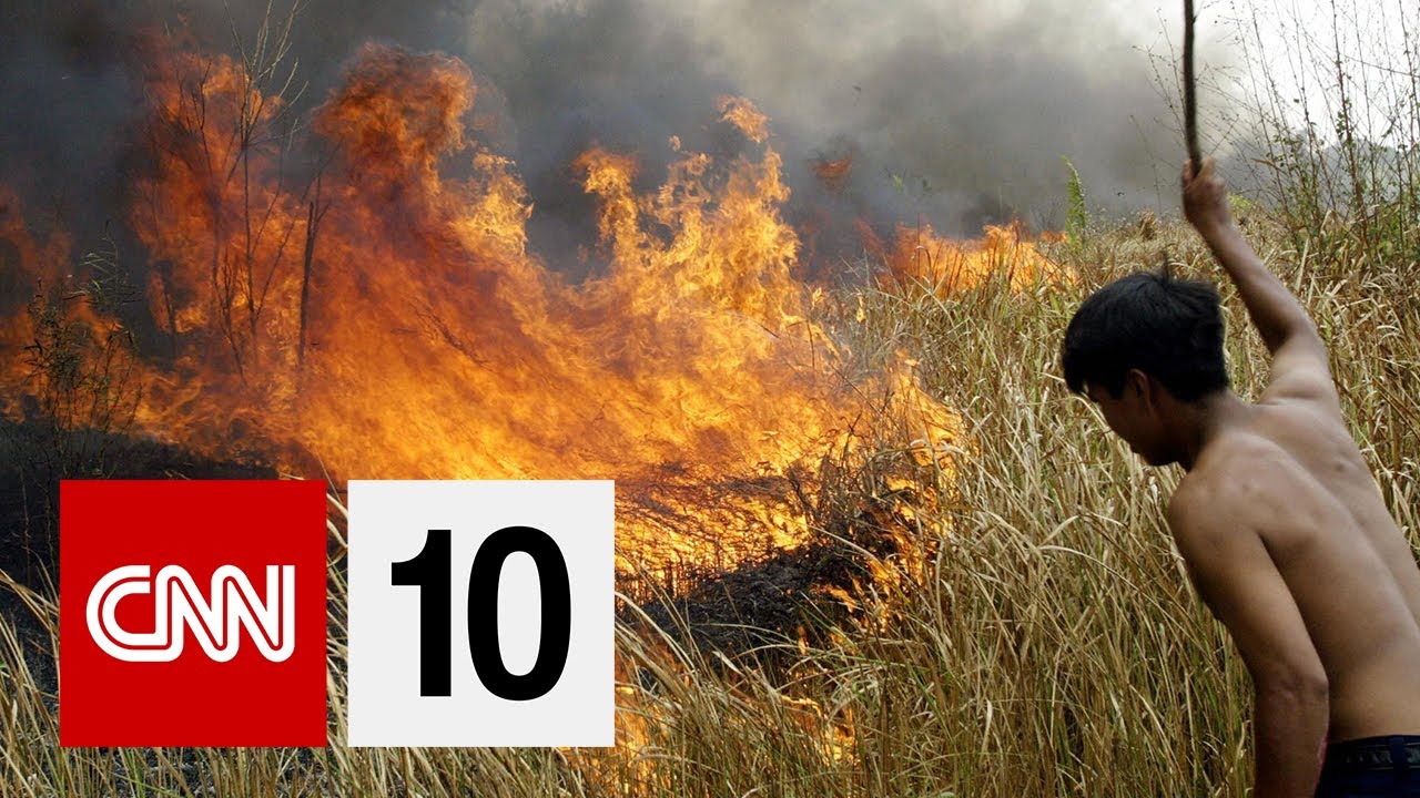 Who Is To Blame For The Burning Amazon | August 23, 2019