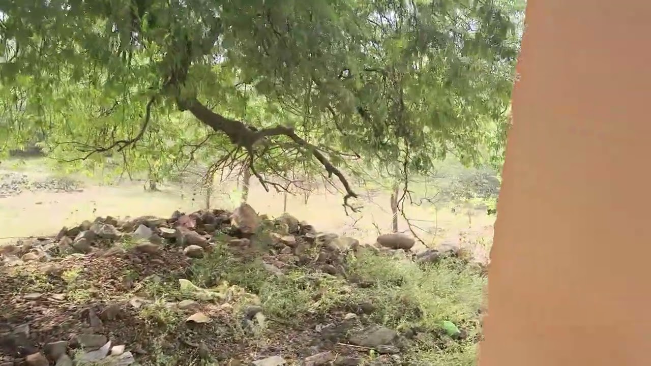 #पहाड़ों