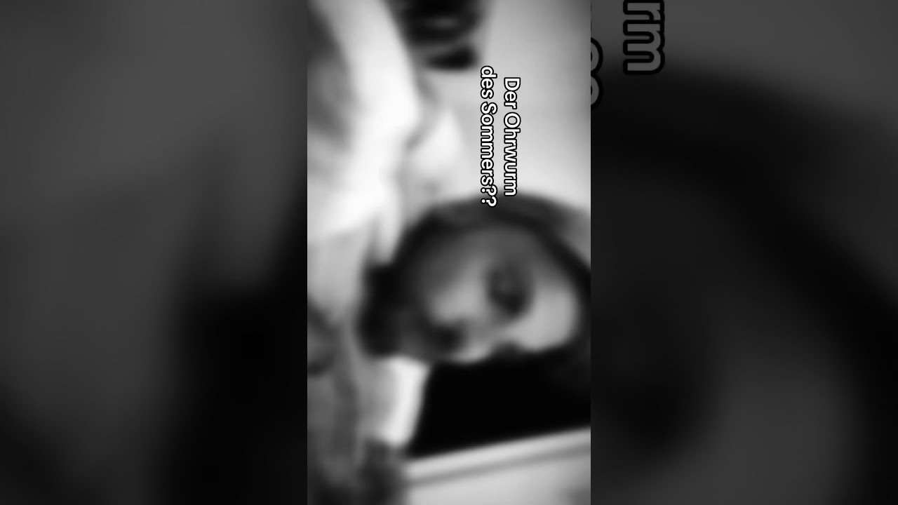 #foryou #musikentdecken #musik #newmusic #deutschemusik #liebe #smallartist #musikentdecken