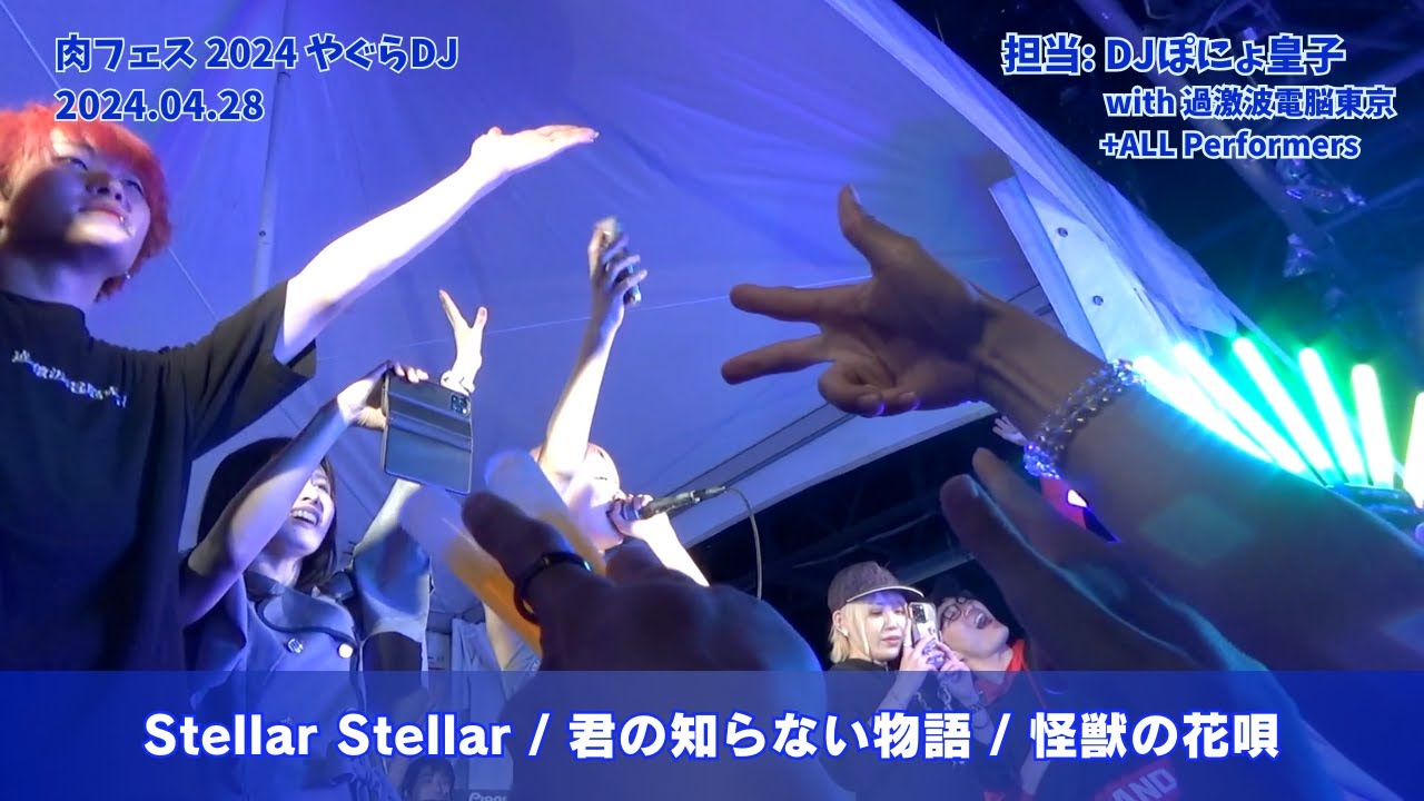 【#肉フェス 2024】Stellar Stellar / 君の知らない物語 / 怪獣の花唄