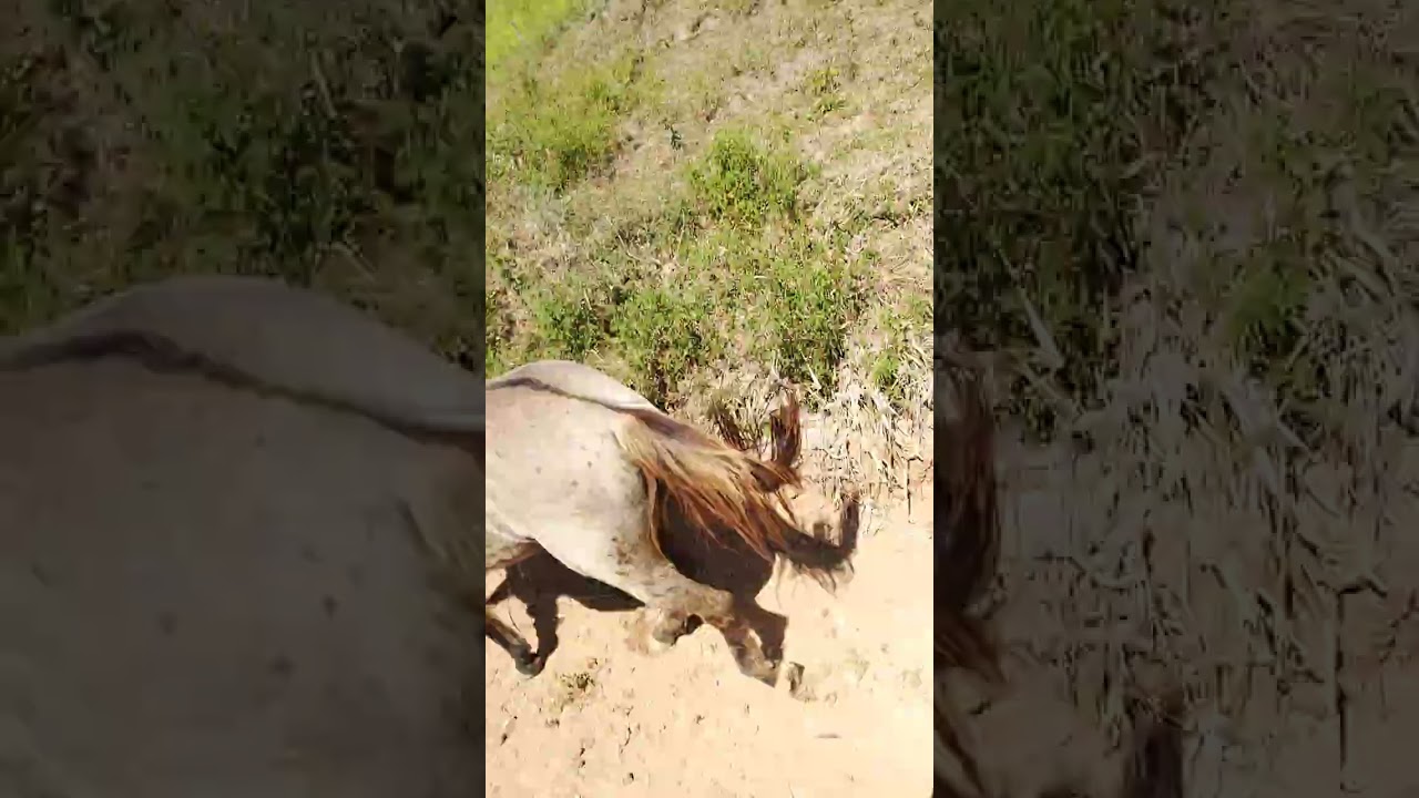 Un día de trabajo en el rancho OMR 