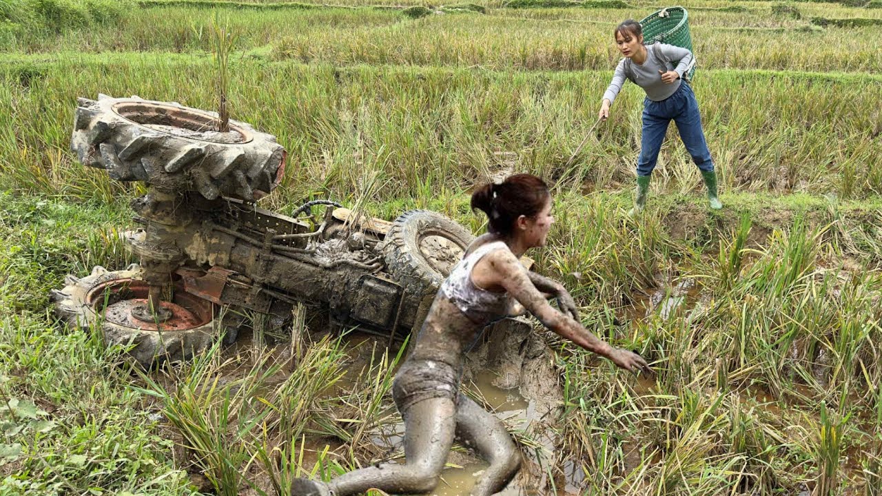 Girl RESURRECTS 1995 tractor buried in swamp – surprise after 3 days @Lý-vy-vy