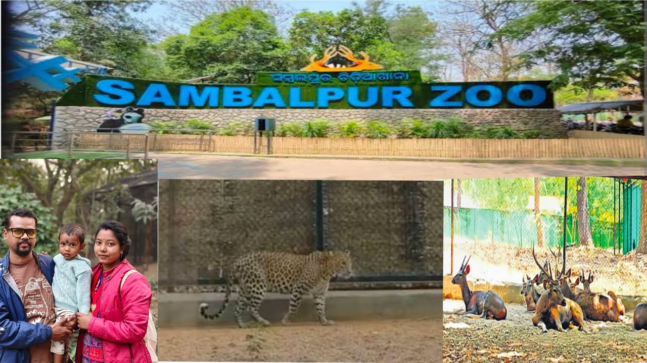 Sambalpur Zoo || #sambalpur 