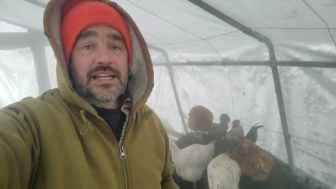 Arctic BLAST против горячего компоста!
