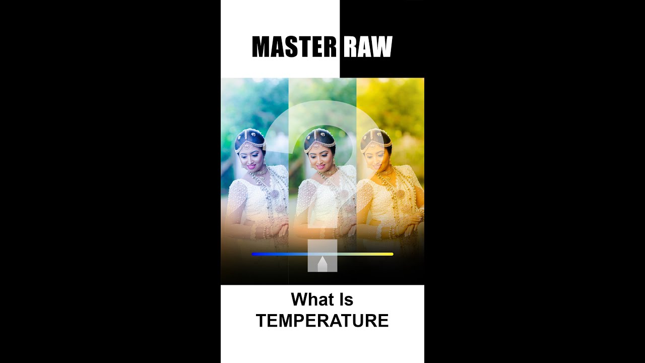 What is 