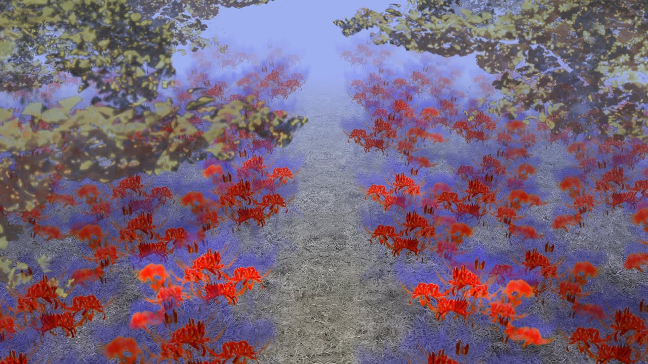 東方花映塚 ～ Phantasmagoria of Flower View - Komachi's Stage Background in 4K 16:9
