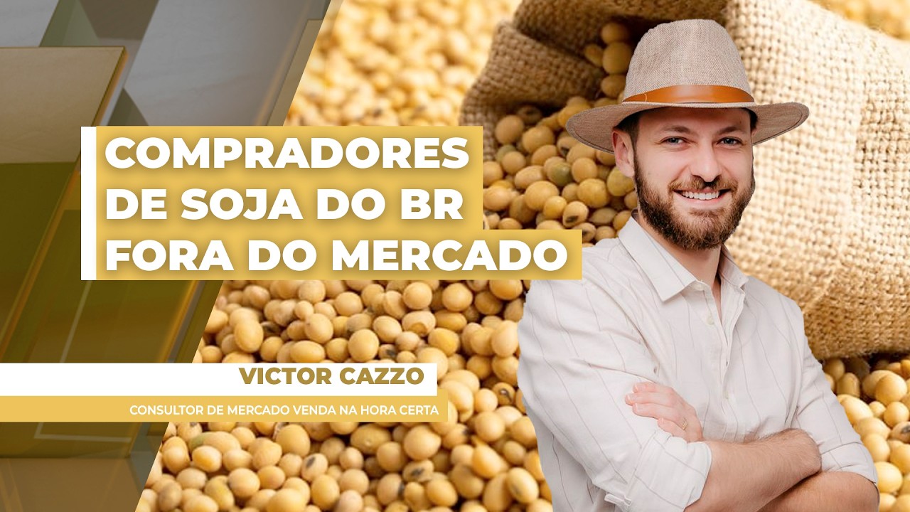 Semana termina com principais compradores de soja do Brasil fora do mercado e preços pressionados