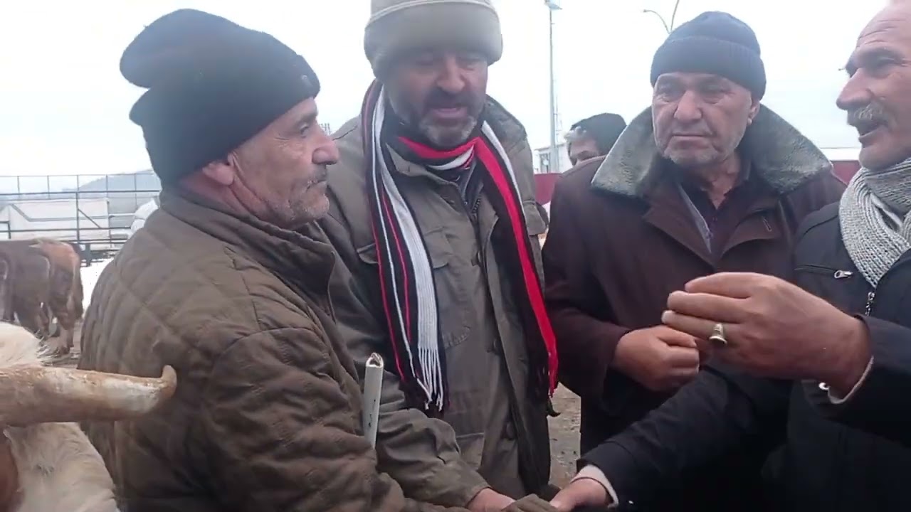 KAHRAMANMARAŞ GÖKSUN HAYVAN PAZARI 10 Şubat 2026