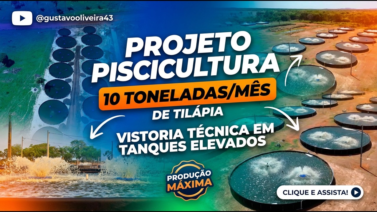 Piscicultura em tanques elevados: vistoria técnica de um projeto para 10 toneladas/mês de tilápia.