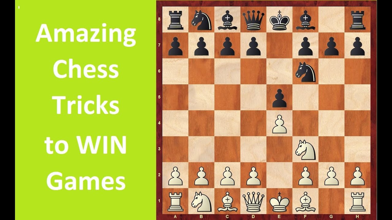 Chess Opening Tricks to WIN Games: Petroff Defense Traps