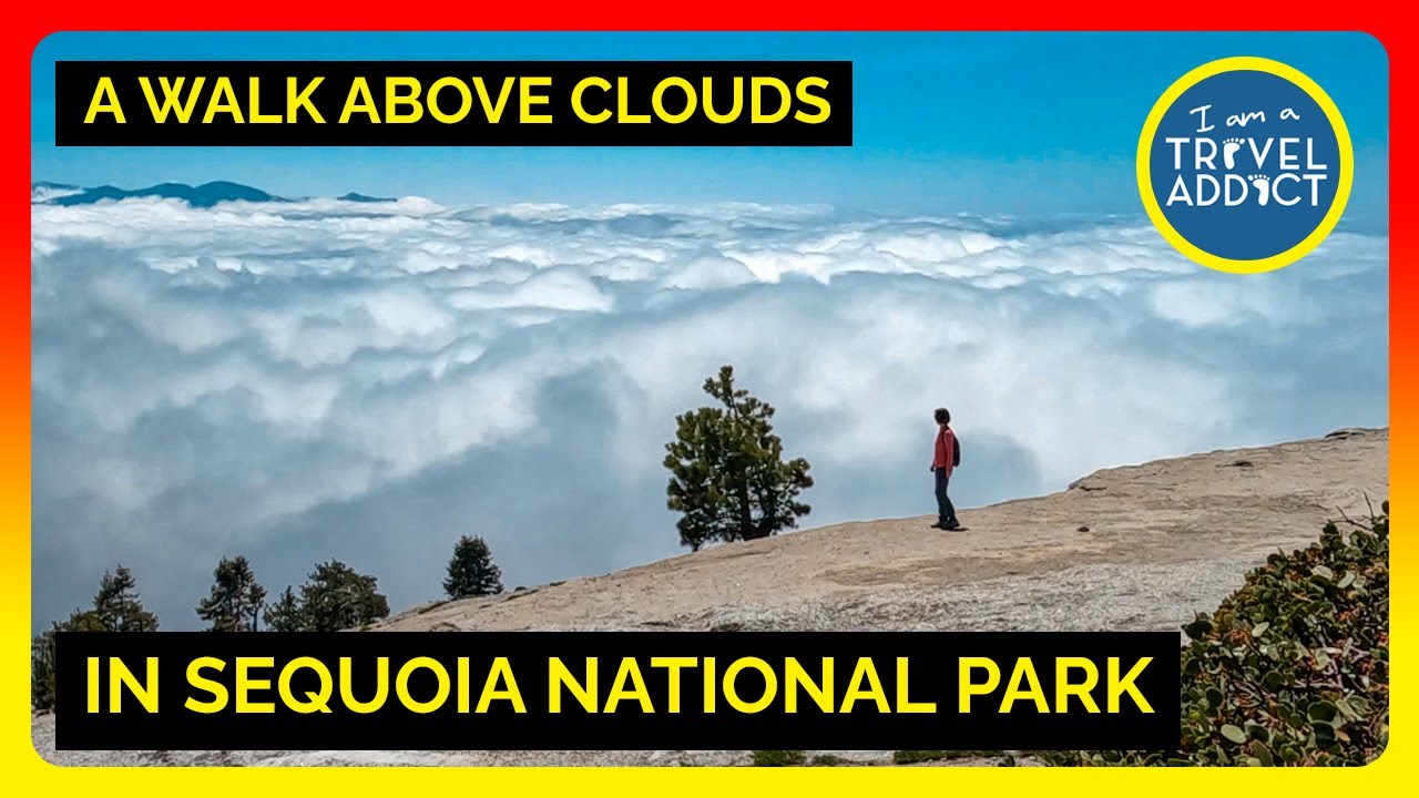 A Walk Above Clouds on Little Baldy in Sequoia and Kings Canyon National Park