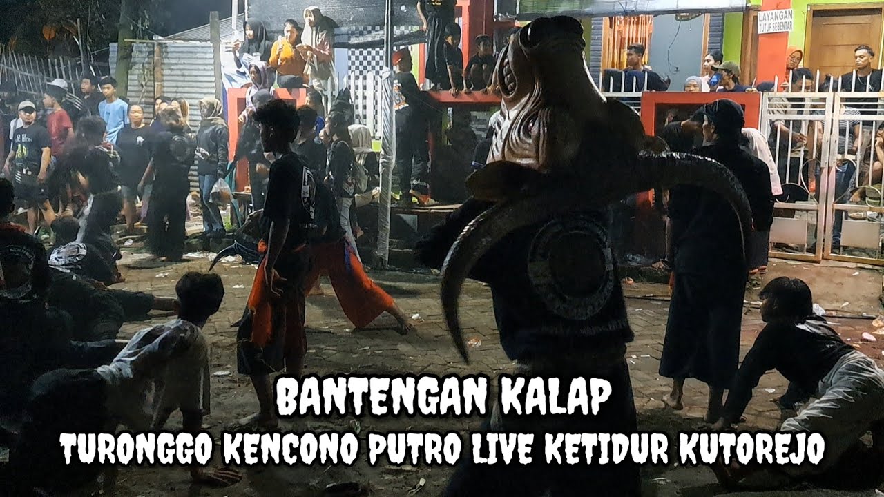 BANTENGAN ‼️ TURONGGO KENCONO PUTRO LIVE KETIDUR KUTOREJO MOJOKERTO 
