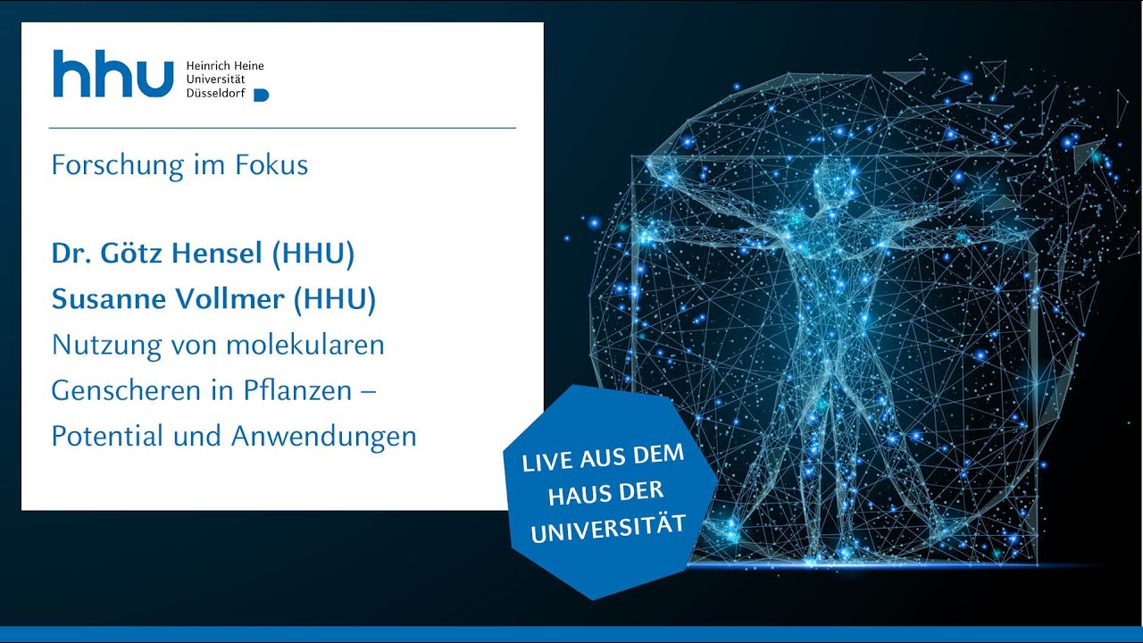 HHU - Forschung im Fokus: Nutzung von molekularen Genscheren in Pflanzen – Potential und Anwendungen