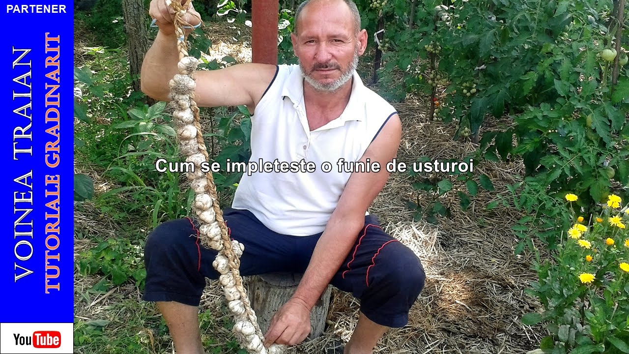 Cum se &icirc;mpletește o funie de usturoi