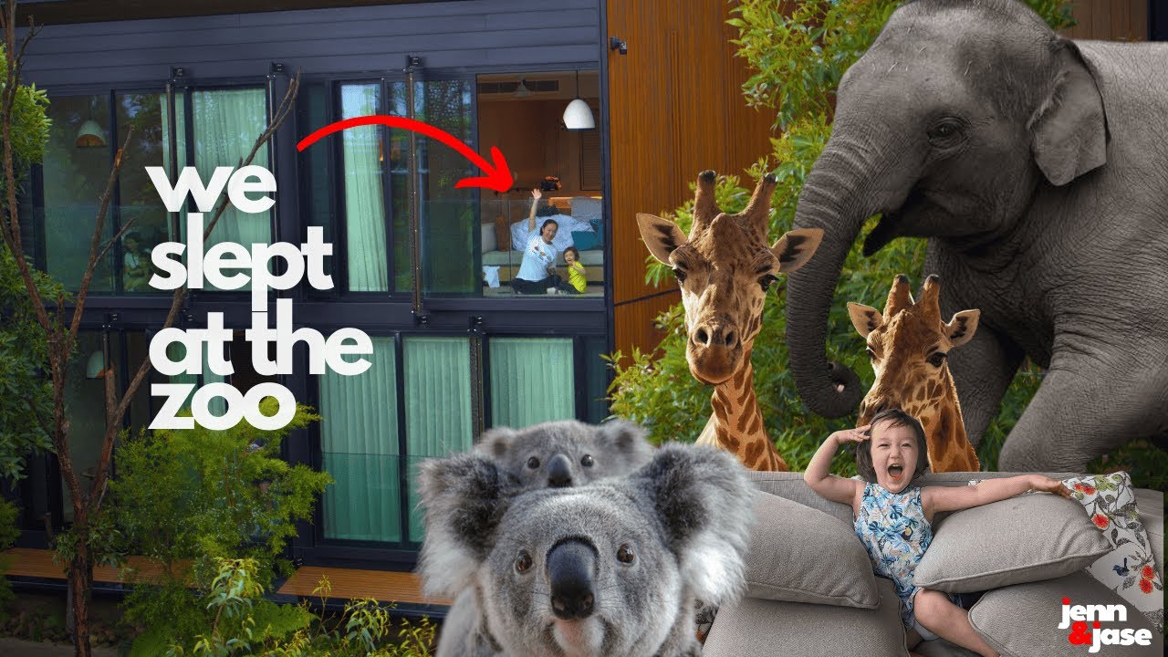 We Stayed Overnight at Taronga Zoo Wildlife Retreat